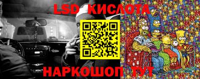 гидропоника Пугачёв