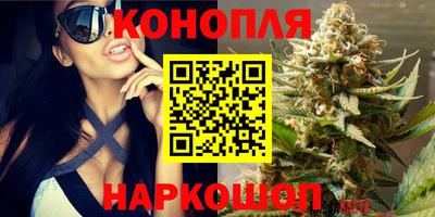 сатива Пыть-Ях
