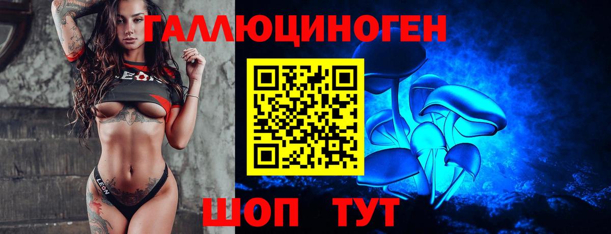 Псилоцибиновые грибы GOLDEN TEACHER Павлово